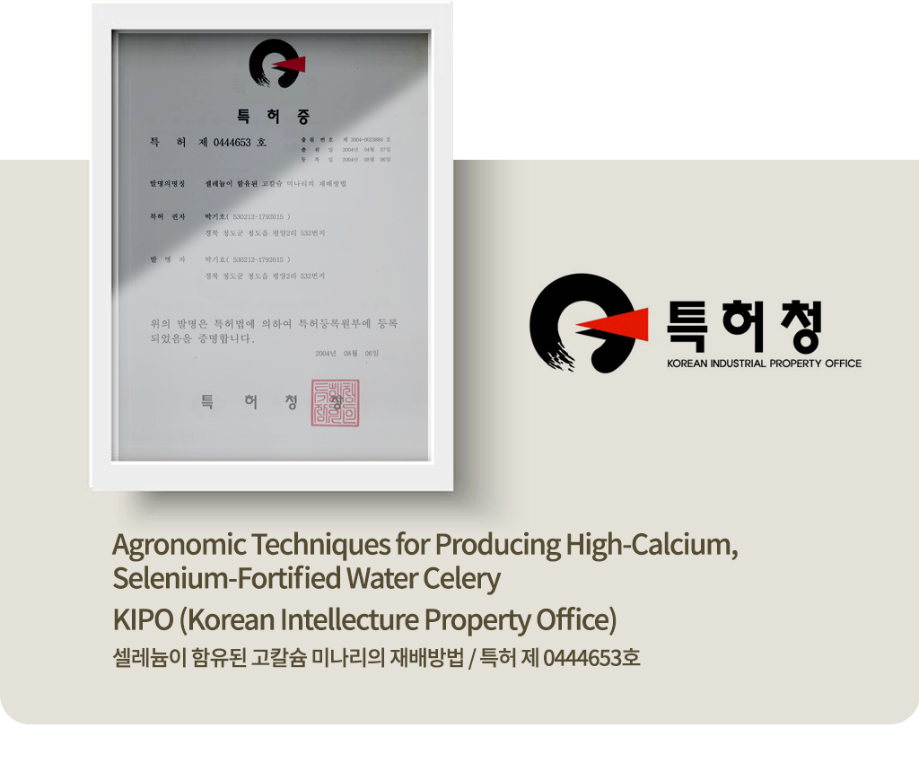 특허 제 0444653호