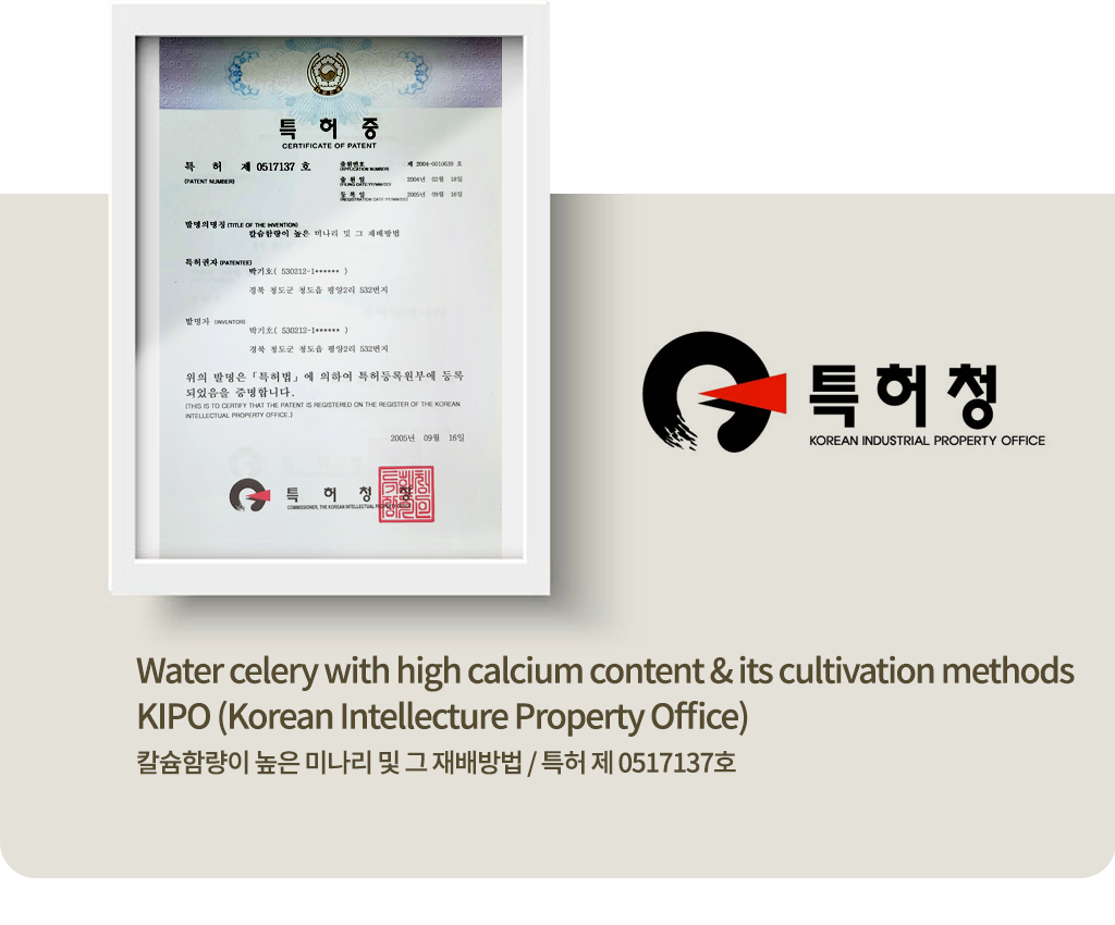 특허 제 0517137호