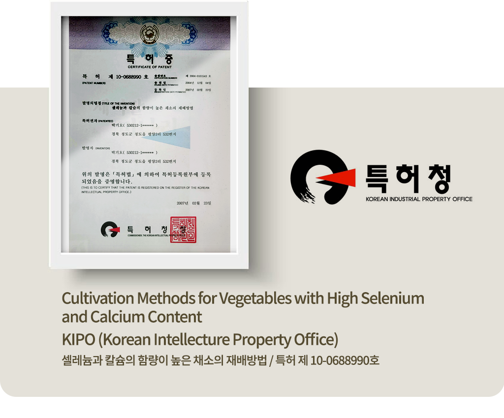 특허 제 10-0688990호