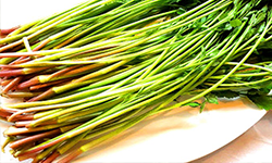 제품 포장 사진